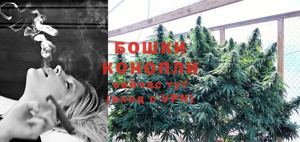 PSILOCYBIN Белокуриха