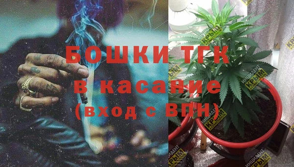 PSILOCYBIN Белокуриха