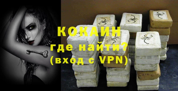 PSILOCYBIN Белокуриха