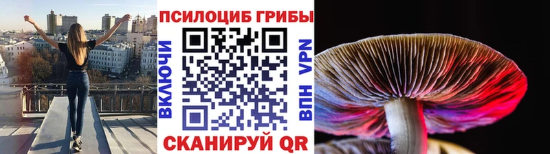 Галлюциногенные грибы Psilocybe  где купить наркоту  shop телеграм  Воскресенск 