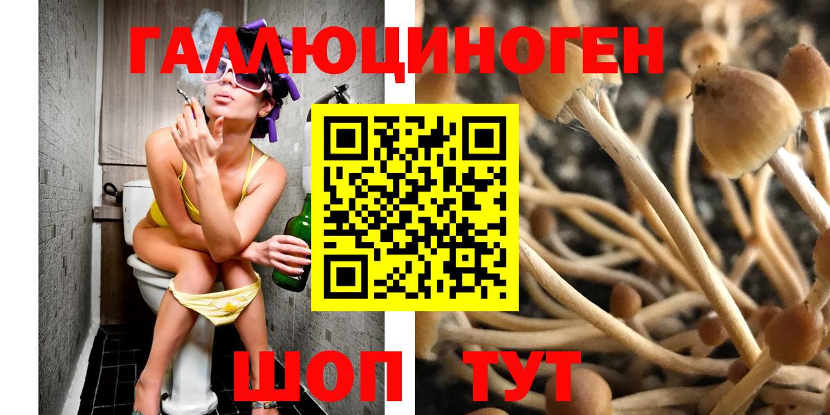 Галлюциногенные грибы Psilocybine cubensis Воскресенск